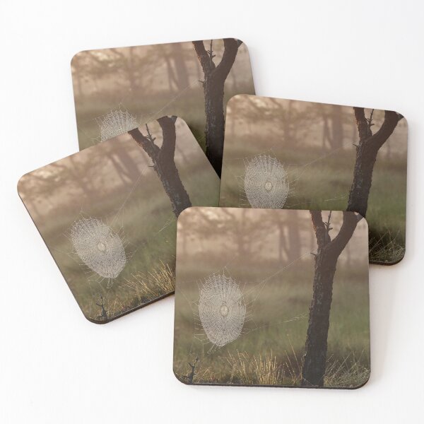 Item preview, 3.8.2025: Cobweb at Marsh designed and sold by Petri Volanen.