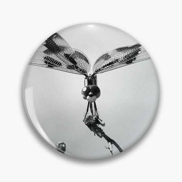 Item preview, Halloween Pennant Dragon Fly B&W designed and sold by MercerImages.