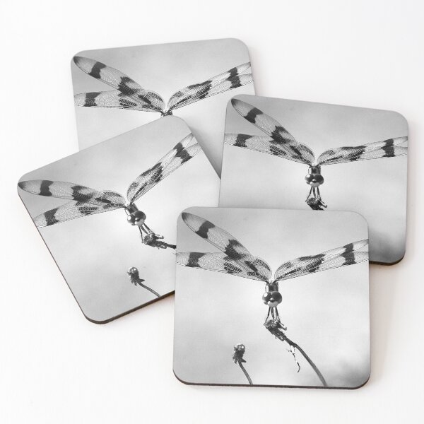Item preview, Halloween Pennant Dragon Fly B&W designed and sold by MercerImages.