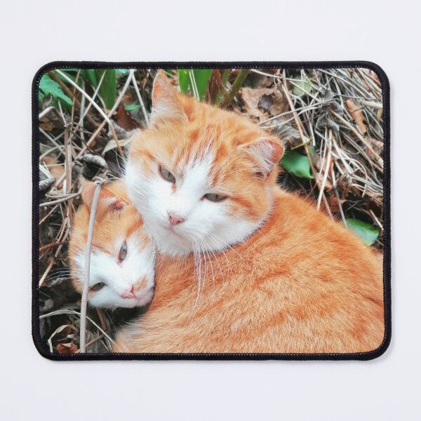 Item preview, Cat Family designed and sold by LadyMiloShop.