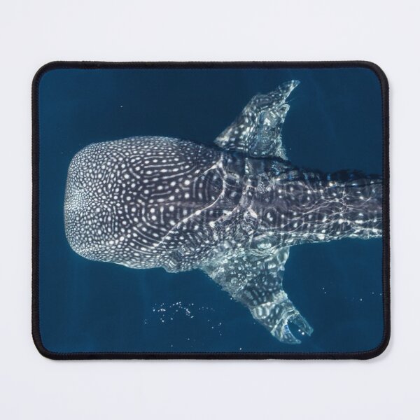 Item preview, Whale Shark Swimming Gracefully in Clear Deep Blue Ocean Waters designed and sold by CreativeWorld96.