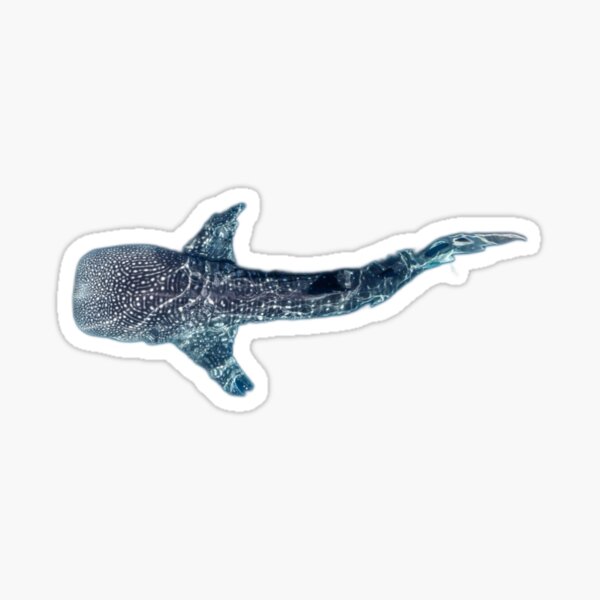 Item preview, Whale Shark Swimming Gracefully in Clear Deep Blue Ocean Waters designed and sold by CreativeWorld96.