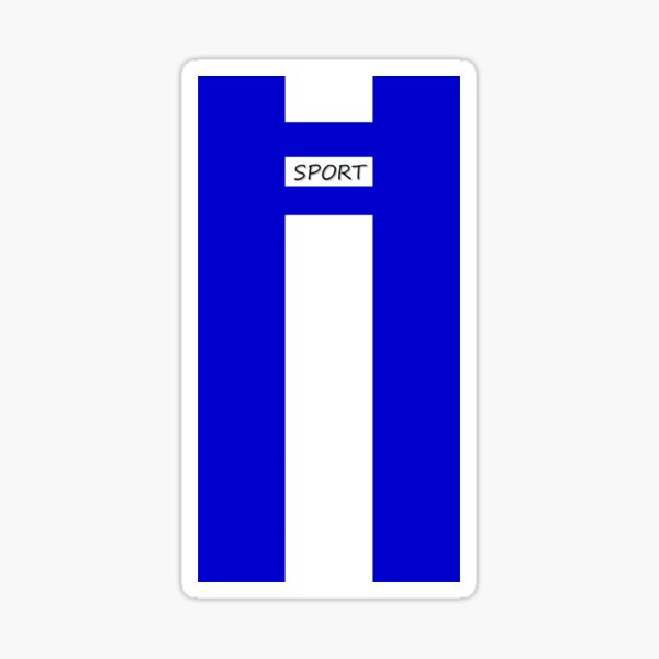Aperçu de l'œuvre SPORT en bleu et blanc créée et vendue par GurselYesilDART.