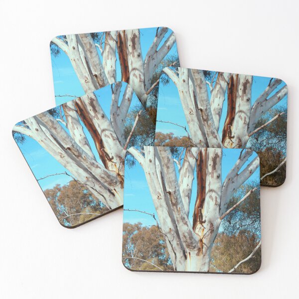 Item preview, The Beauty of a White Gumtree designed and sold by VMKPhotography.