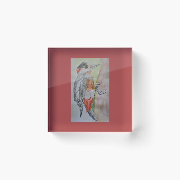 Artikelvorschau, Specht-Aquarell von Fallen Angel Art entworfen und verkauft von FallenAngelArt.