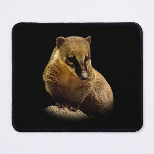 Item preview, Coati designed and sold by Guardi71.