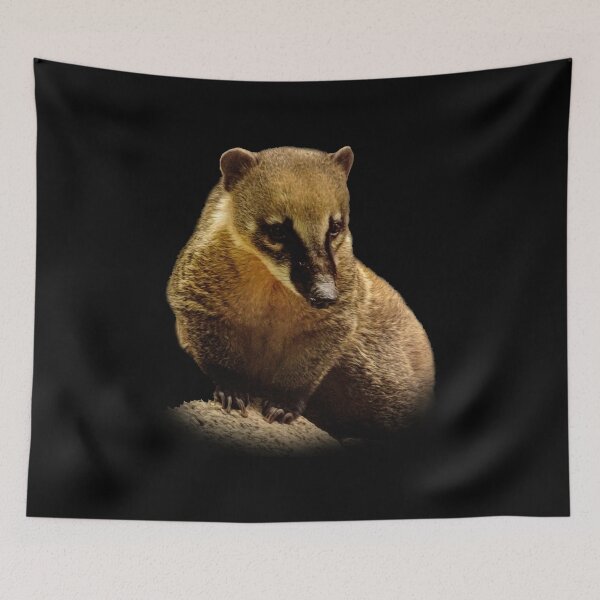 Item preview, Coati designed and sold by Guardi71.