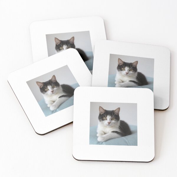 Item preview, Cute kitten on the pillow designed and sold by JerzyCzechon.