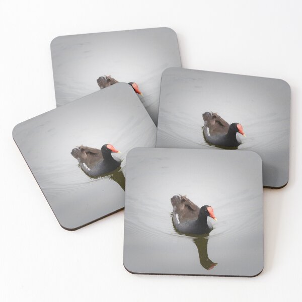 Item preview, Moorhen Bird designed and sold by PZPhotograhpy.