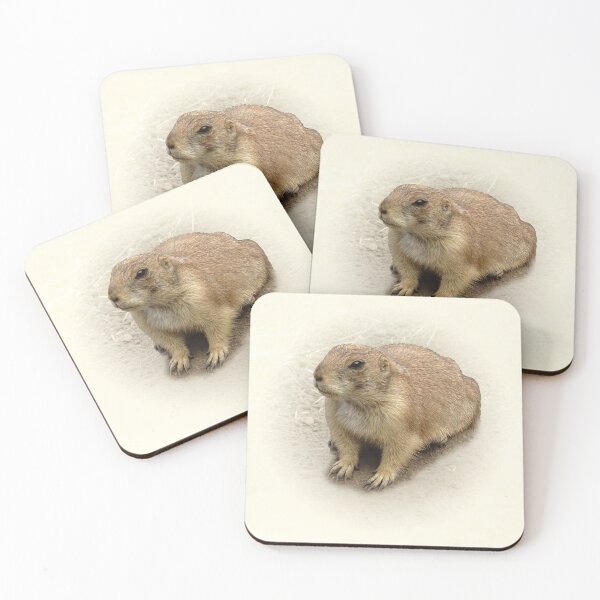 Item preview, Prairie Dog designed and sold by Guardi71.