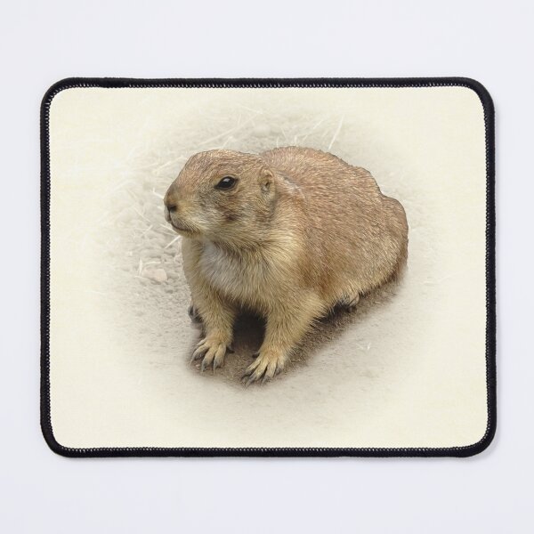 Item preview, Prairie Dog designed and sold by Guardi71.