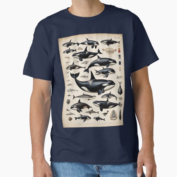 Item preview, Picture plate Orca no. 184 designed and sold by Rainer Kristuf.