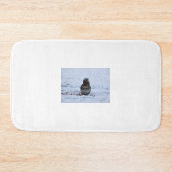 Item preview, Grey Squirrel in Snow – Winter Wildlife Photography designed and sold by Aldo Fine Photography.