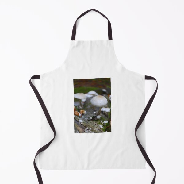 Item preview, Glossy White Porcelain Mushroom on Mossy Log designed and sold by Aldo Fine Photography.