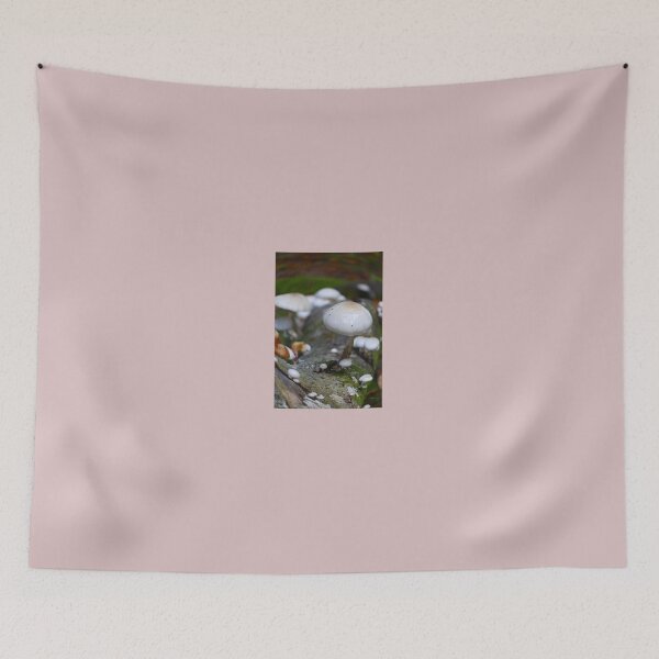 Item preview, Glossy White Porcelain Mushroom on Mossy Log designed and sold by Aldo Fine Photography.