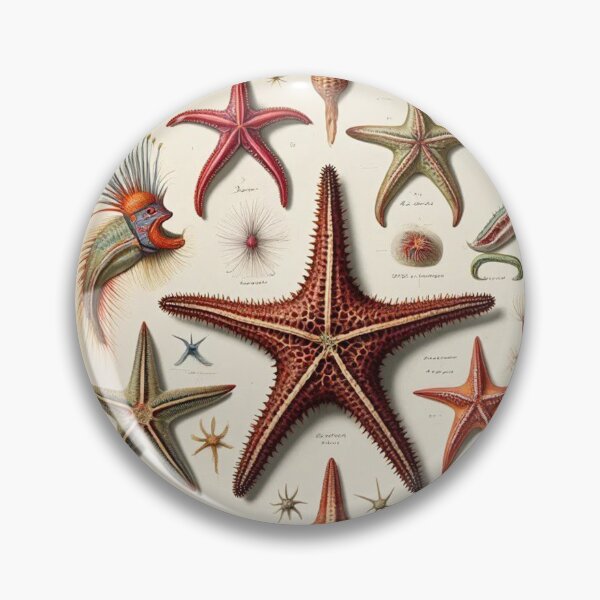 Item preview, Picture plate Starfish no. 260 designed and sold by Rainer Kristuf.