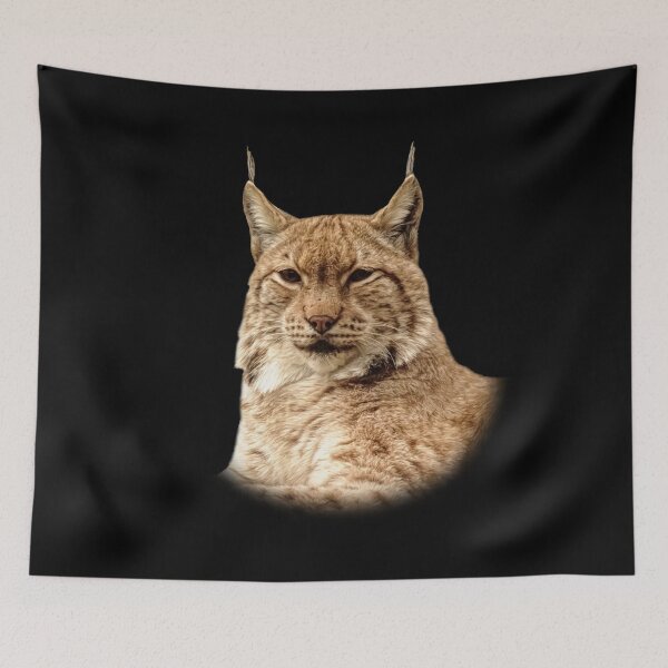 Item preview, Lynx portrait designed and sold by Guardi71.
