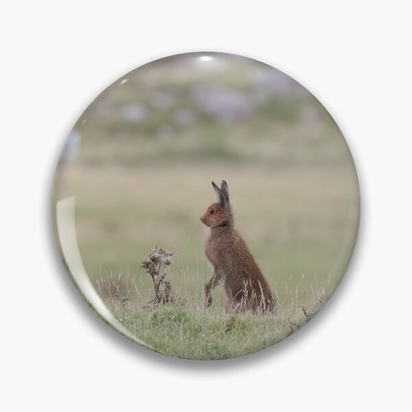 Item preview, Watchful Mountain Hare designed and sold by RedGrouse.