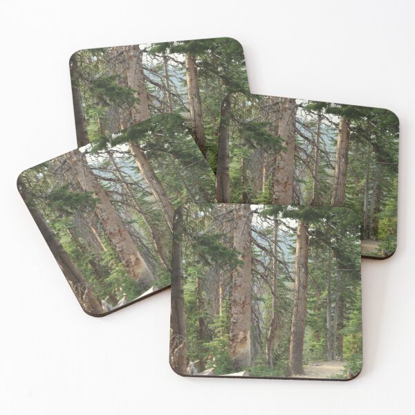 Item preview, Lake Agnes Forest Trail designed and sold by Petthecatshop.