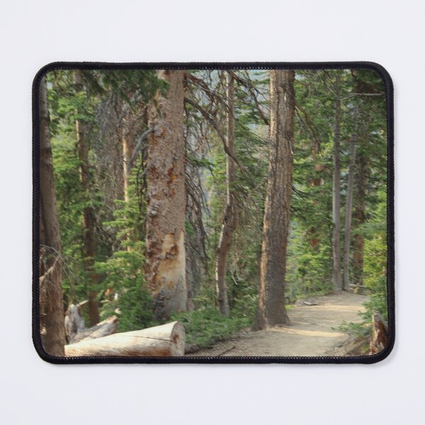Item preview, Lake Agnes Forest Trail designed and sold by Petthecatshop.