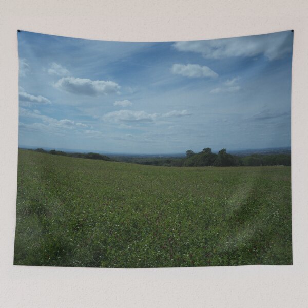 Artikelvorschau, Wildblumenwiese mit Blick auf Teesside entworfen und verkauft von Malcolm Snook.