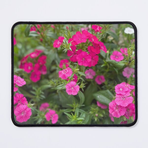 Item preview, Pink Petal Romance designed and sold by HerartbyHer.
