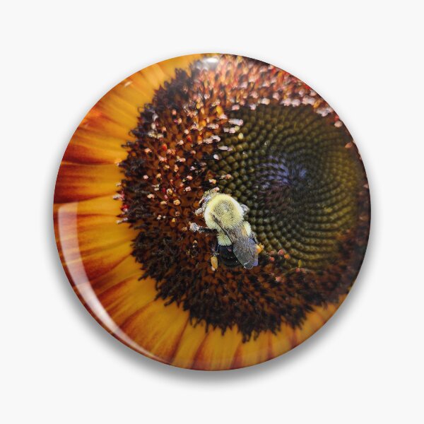 Item preview, Summer sunflowers  designed and sold by OutJsWindow.