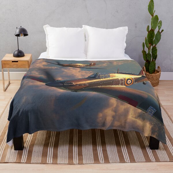 Item preview, Royal Air Force Icons Coastal Defenders designed and sold by Skyframe Aviation.