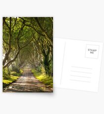 The Dark Hedges Postcards