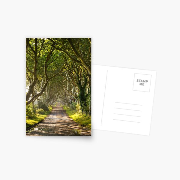 Item preview, The Dark Hedges designed and sold by Chris Tait.