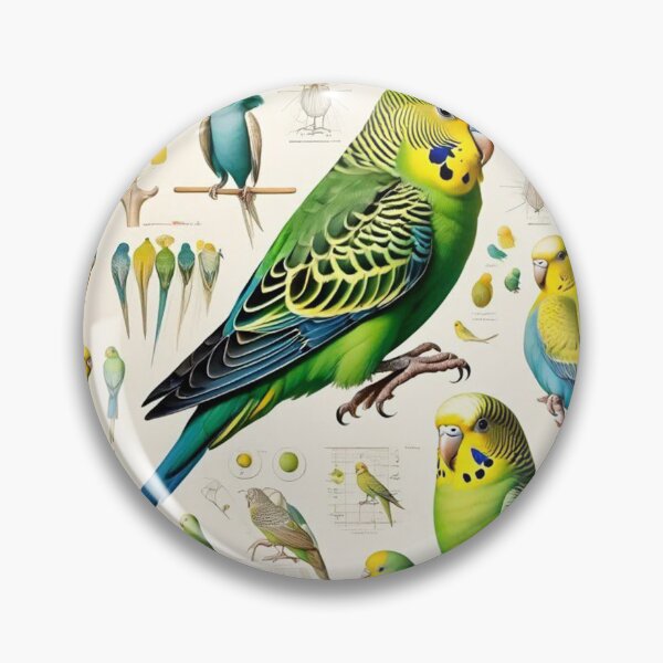 Item preview, Picture plate budgie no. 97 designed and sold by Rainer Kristuf.