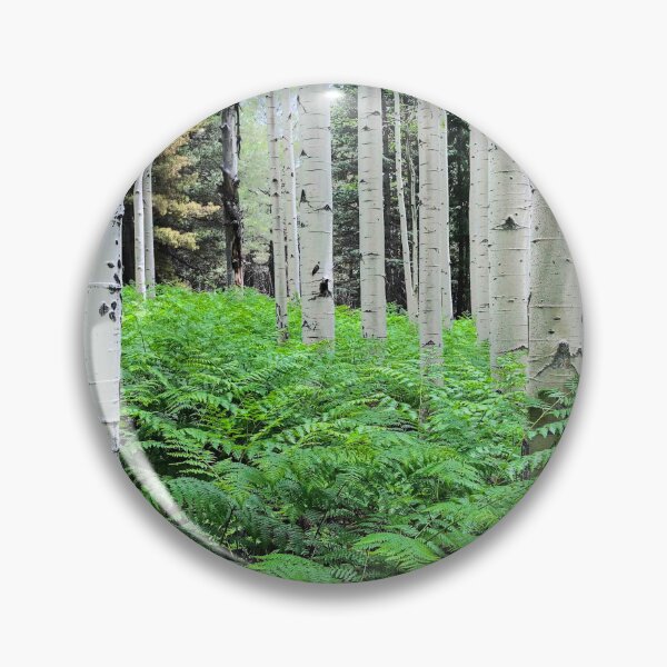 Item preview, Ferns in an Aspen Grove designed and sold by Jeff Goulden Photography.