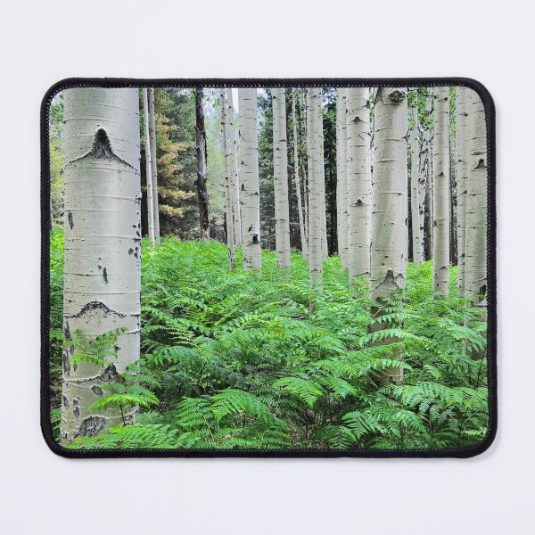 Item preview, Ferns in an Aspen Grove designed and sold by Jeff Goulden Photography.