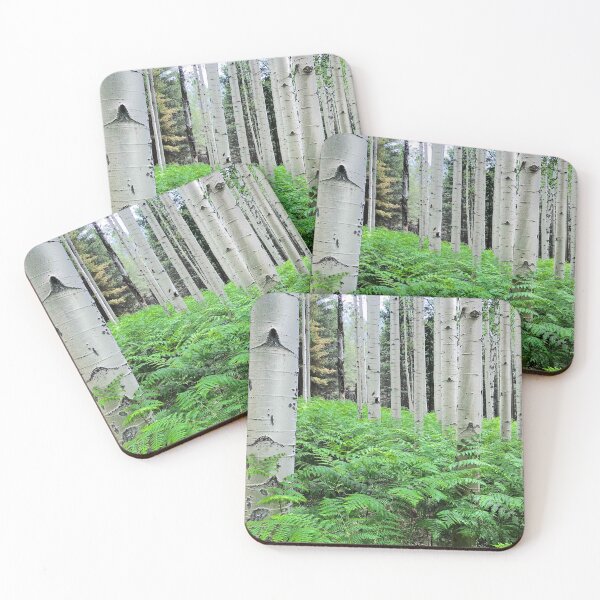 Item preview, Ferns in an Aspen Grove designed and sold by Jeff Goulden Photography.