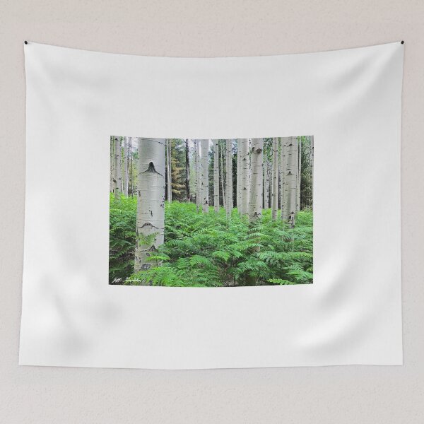 Item preview, Ferns in an Aspen Grove designed and sold by Jeff Goulden Photography.