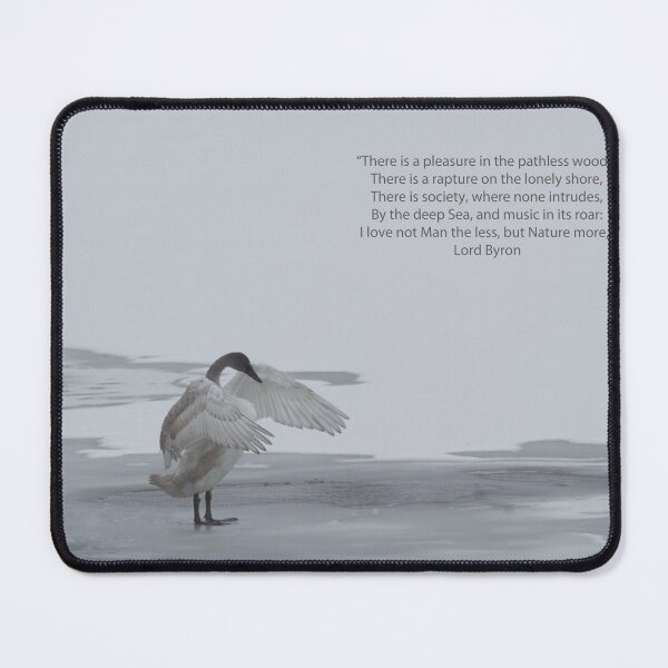 Item preview, Cygnet Dance on Ice designed and sold by Cathleen Burnham.
