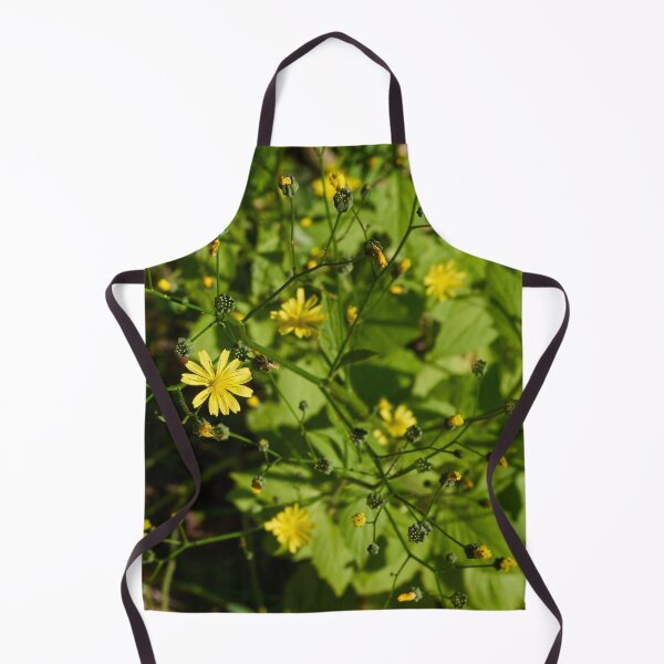 Item preview, Growing seeds. Common nipplewort designed and sold by Jouko Lehto Photography.