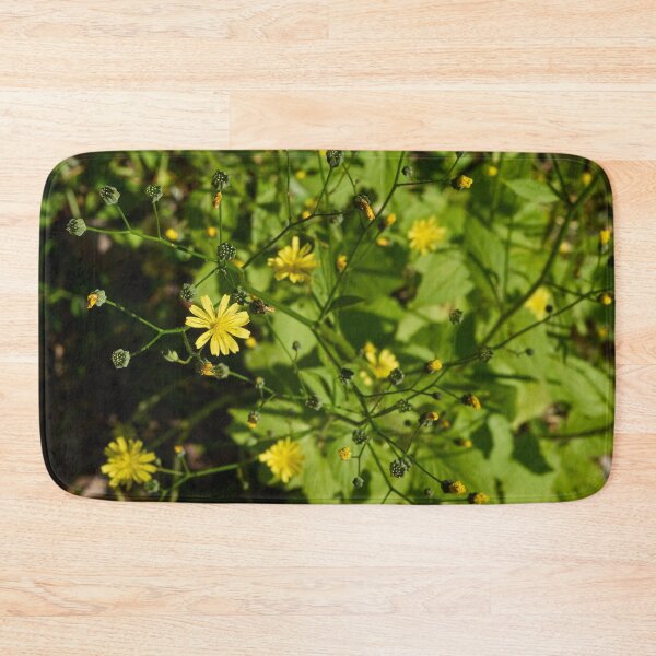 Item preview, Growing seeds. Common nipplewort designed and sold by Jouko Lehto Photography.