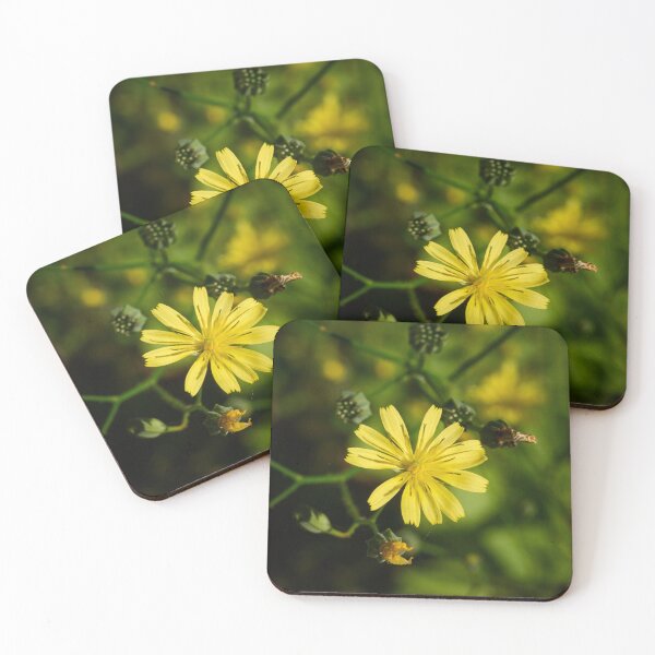 Item preview, One flower. Common nipplewort designed and sold by Jouko Lehto Photography.