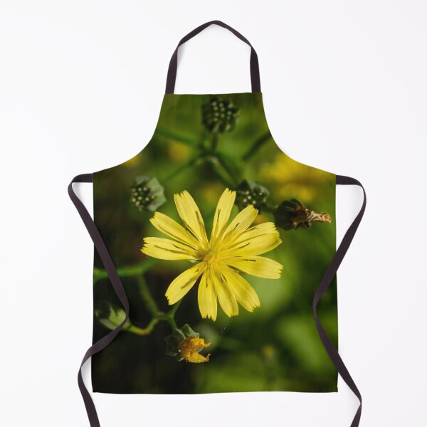 Item preview, One flower. Common nipplewort designed and sold by Jouko Lehto Photography.