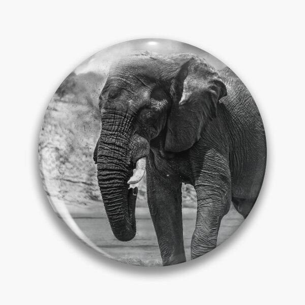 Item preview, Elephant Dust Bath In Black and White designed and sold by Kay Brewer.