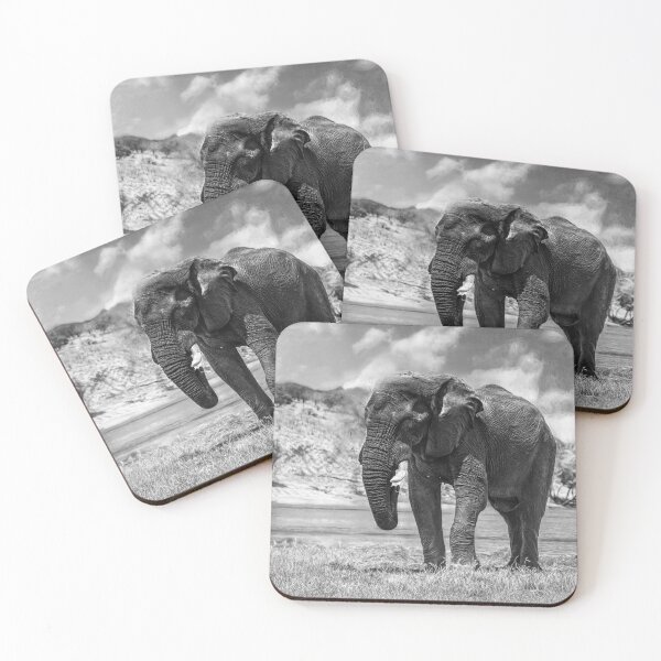 Item preview, Elephant Dust Bath In Black and White designed and sold by Kay Brewer.