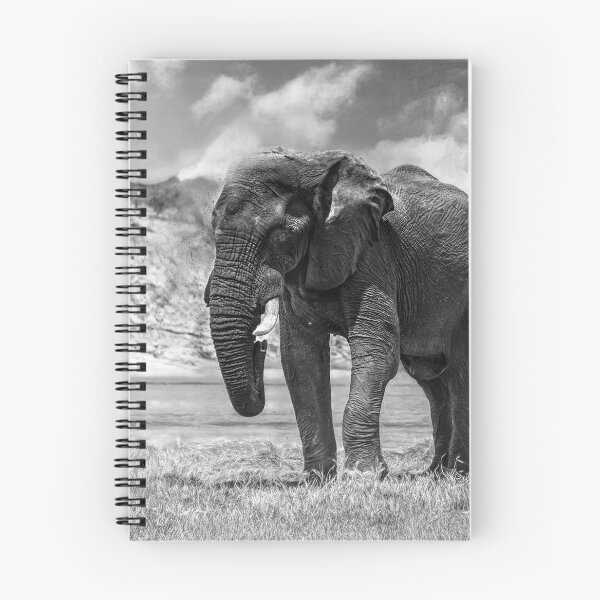 Item preview, Elephant Dust Bath In Black and White designed and sold by Kay Brewer.