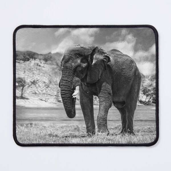 Item preview, Elephant Dust Bath In Black and White designed and sold by Kay Brewer.