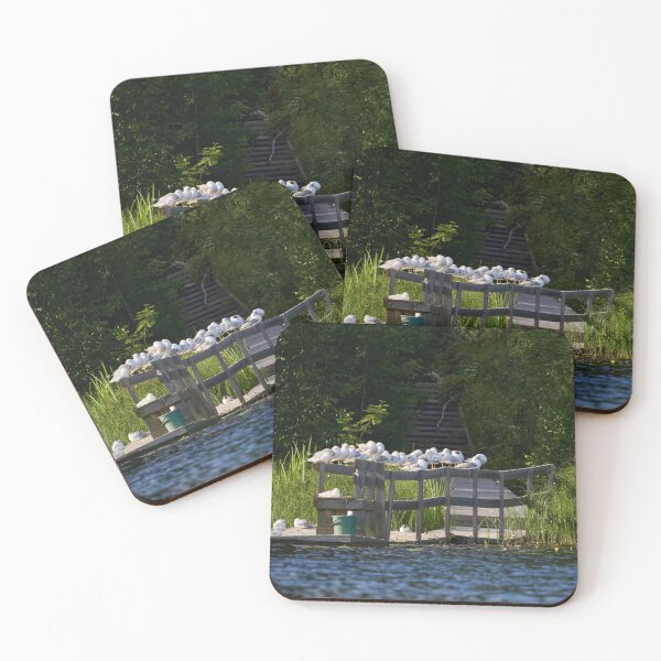 Item preview, Siesta like the gulls designed and sold by Jouko Lehto Photography.