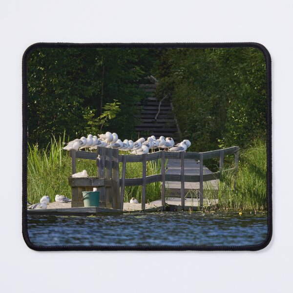 Item preview, Siesta like the gulls designed and sold by Jouko Lehto Photography.