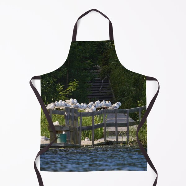 Item preview, Siesta like the gulls designed and sold by Jouko Lehto Photography.