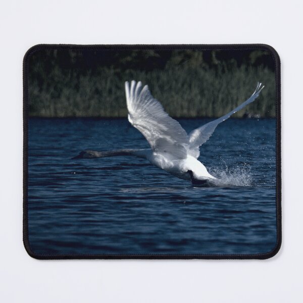 Item preview, Frozen reality - Beautiful nature 308 designed and sold by deep-sea-birds.