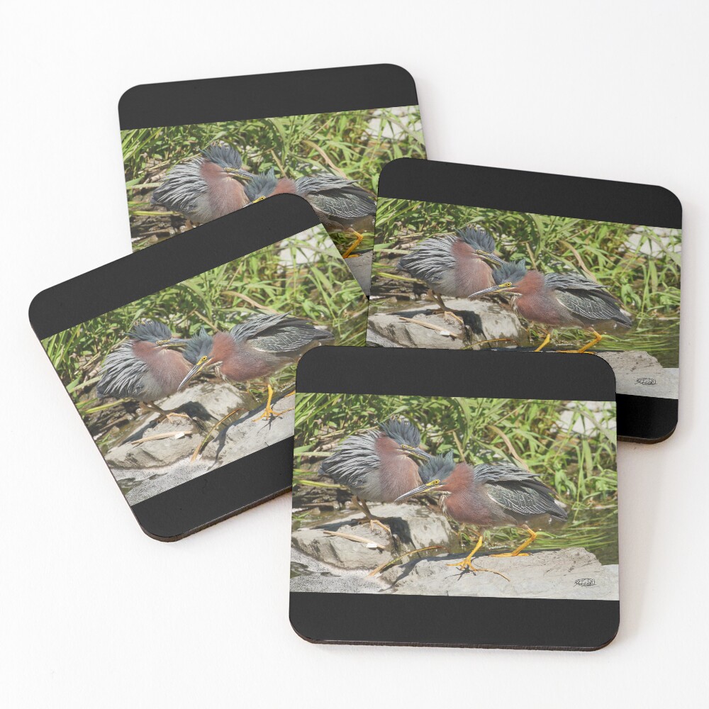 Item preview, Coasters (Set of 4) designed and sold by Stormcrow.