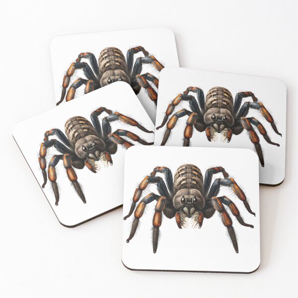 Item preview, Tarantula spider designed and sold by ArtfulPlay.